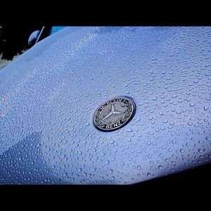 Meet your Posher, Bob